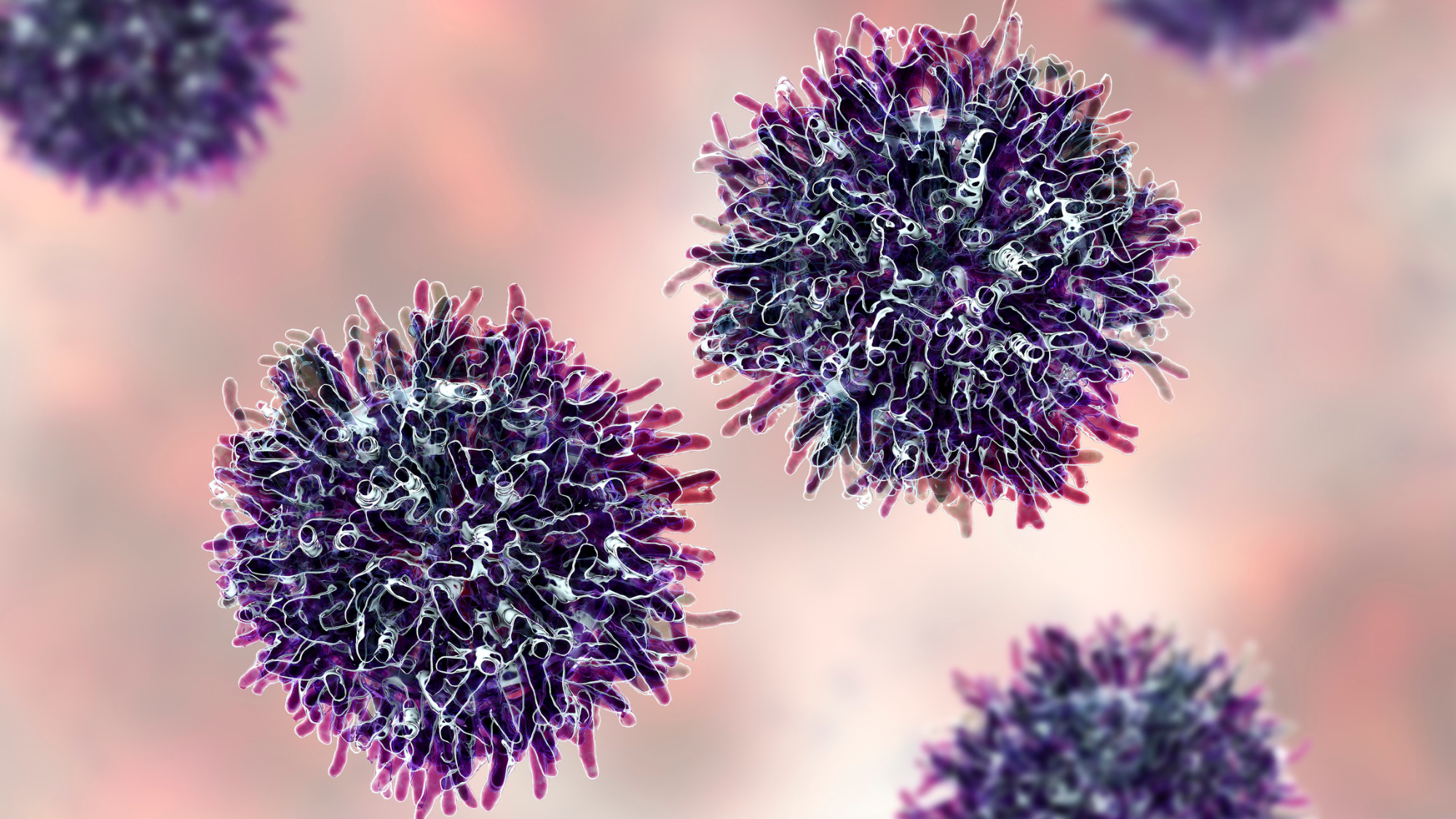Cancerous cells