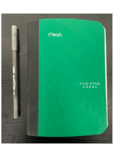 Saleem’s green notebook used to record interviews and observations.
