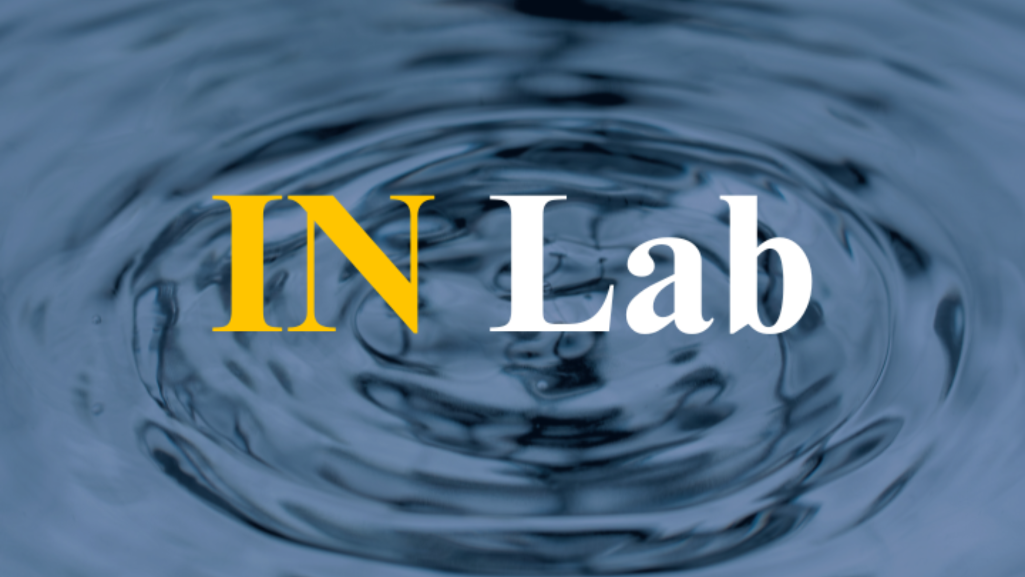 IN Lab logo.